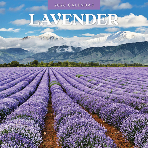2026 Calendar Lavender 16-Month Square Wall, Red Robin RR261233