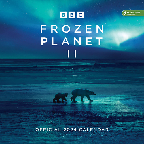 2024 Calendar BBC Frozen Planet II w/ Envelope Square Wall, Danilo D70218