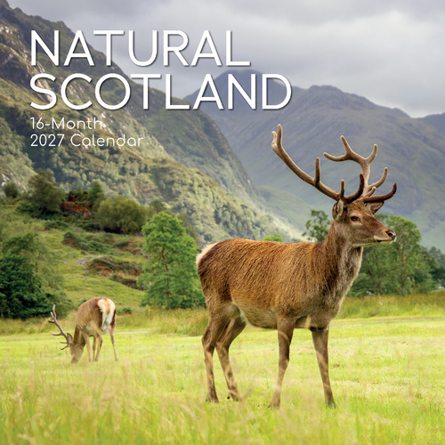 2027 Calendar Scotland (Natural) Square Wall, Gifted Stationery GSC26956