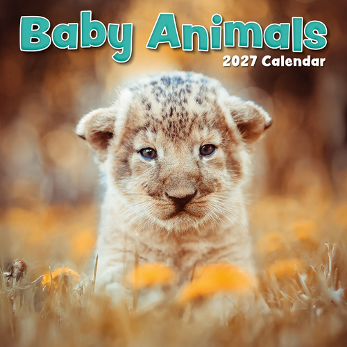 2027 Calendar Baby Animals Square Wall, Gifted Stationery GSC26986