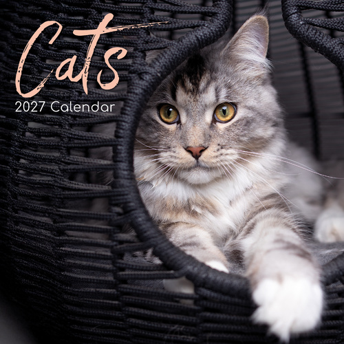 2027 Calendar Cats Square Wall, Gifted Stationery GSC26992