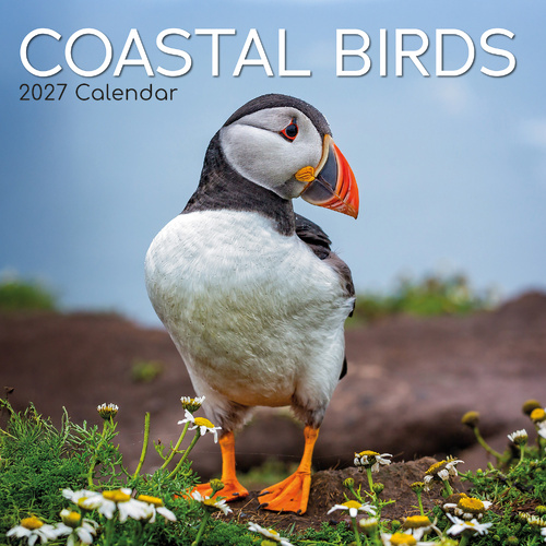 2027 Calendar Coastal Birds Square Wall, Gifted Stationery GSC26996