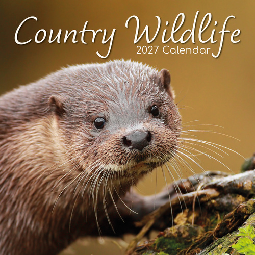 2027 Calendar Country Wildlife Square Wall, Gifted Stationery GSC26997