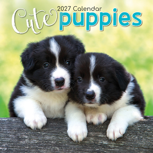 2027 Calendar Cute Puppies Square Wall, Gifted Stationery GSC27001