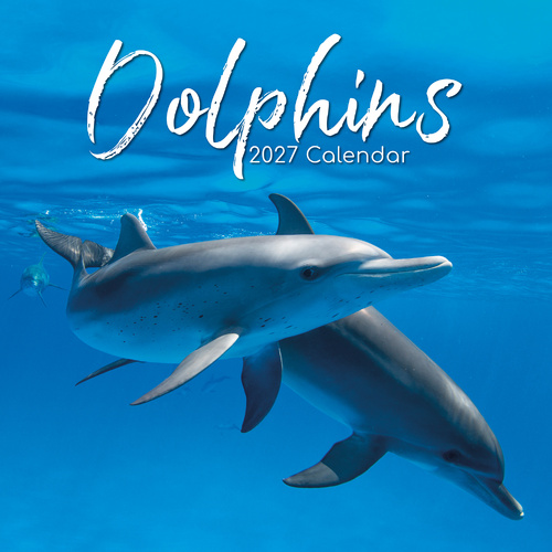 2027 Calendar Dolphins Square Wall, Gifted Stationery GSC27004