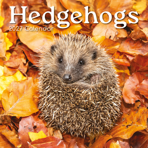 2027 Calendar Hedgehogs Square Wall, Gifted Stationery GSC27010