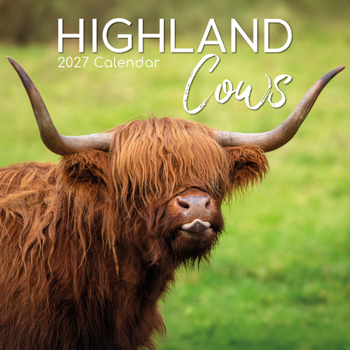 2027 Calendar Highland Cows Square Wall, Gifted Stationery GSC27011