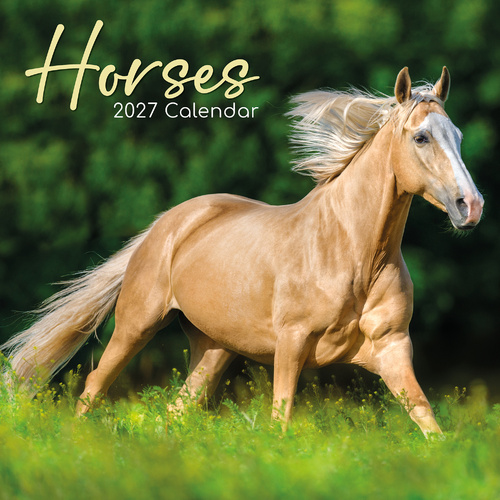 2027 Calendar Horses Square Wall, Gifted Stationery GSC27012