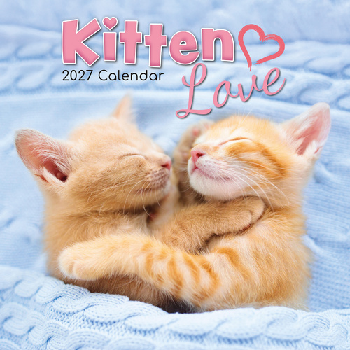 2027 Calendar Kitten Love Square Wall, Gifted Stationery GSC27013