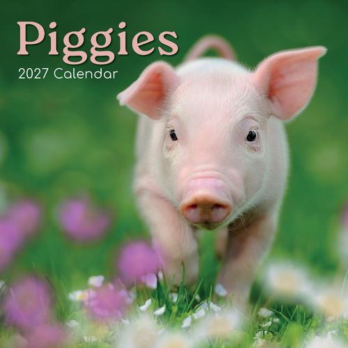 2027 Calendar Piggies Square Wall, Gifted Stationery GSC27019