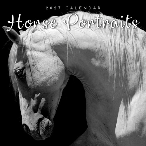 2027 Calendar Moments Horse Portraits Square Wall, Gifted Stationery GSC27027