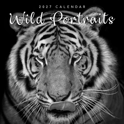 2027 Calendar Moments Wild Portraits Square Wall, Gifted Stationery GSC27028