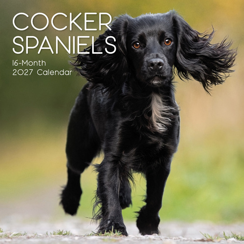 2027 Calendar Paw Prints Cocker Spaniels Square Wall, Gifted Stationery GSC27043