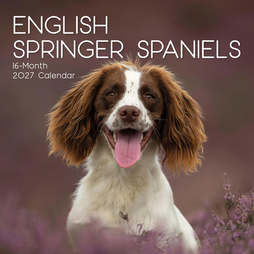2027 Calendar Paw Prints English Springer Spaniels Square Wall, Gifted Stationery GSC27047