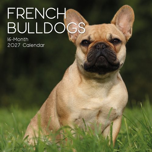2027 Calendar Paw Prints French Bulldogs Square Wall, Gifted Stationery GSC27048