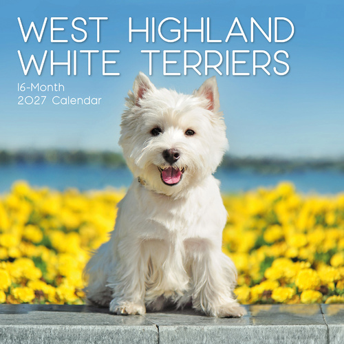 2027 Calendar Paw Prints West Highland White Terriers Square Wall, Gifted Stationery GSC27068