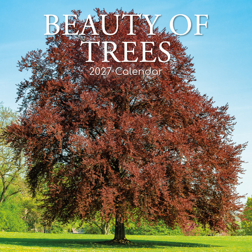 2027 Calendar Beauty of Trees Square Wall, Gifted Stationery GSC27113