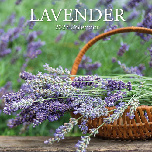2027 Calendar Lavender Square Wall, Gifted Stationery GSC27120