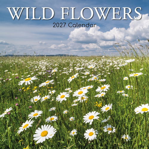 2027 Calendar Wild Flowers Square Wall, Gifted Stationery GSC27123