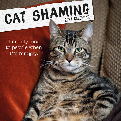 2027 Calendar Cat Shaming Square Wall, Gifted Stationery GSC27134