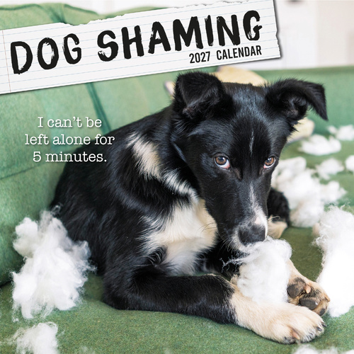 2027 Calendar Dog Shaming Square Wall, Gifted Stationery GSC27139