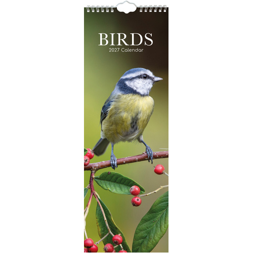 2027 Calendar Birds Slim Wall, Gifted Stationery GSC27265