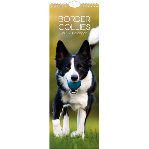 2027 Calendar Paw Prints Border Collies Slim Wall, Gifted Stationery GSC27275