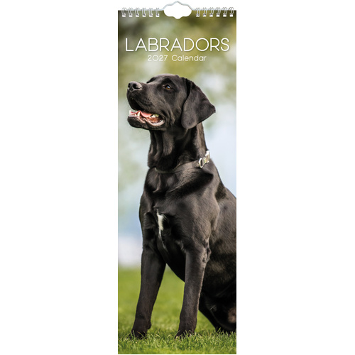 2027 Calendar Labradors Slim Wall, Gifted Stationery GSC27282