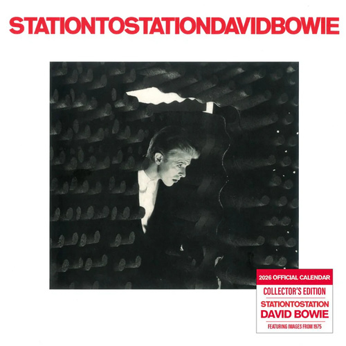 2026 Calendar Collector's Edition David Bowie Official Record Sleeve Square Wall, Danilo D74163