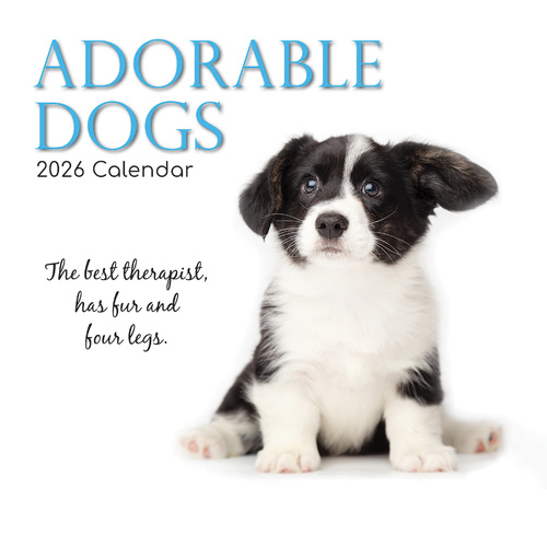 2026 Calendar Adorable Dogs Square Wall, The Gifted Stationery GSC26055