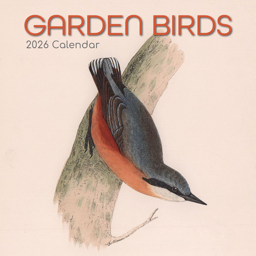 2026 Calendar Garden Birds Square Wall, The Gifted Stationery GSC26074