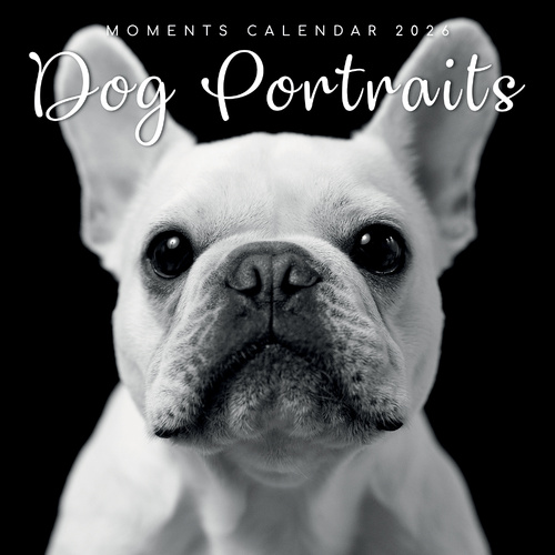 2026 Calendar Moments Dog Portraits Square Wall, The Gifted Stationery GSC26171