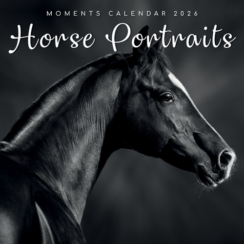 2026 Calendar Moments Horse Portraits Square Wall, The Gifted Stationery GSC26173
