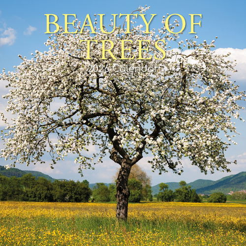 2026 Calendar Beauty of Trees Square Wall, The Gifted Stationery GSC26180