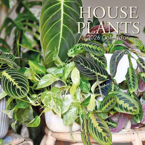 2026 Calendar House Plants Square Wall, The Gifted Stationery GSC26188