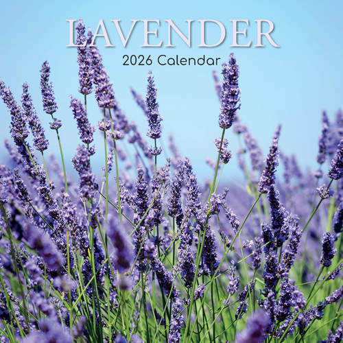 2026 Calendar Lavender Square Wall, The Gifted Stationery GSC26189