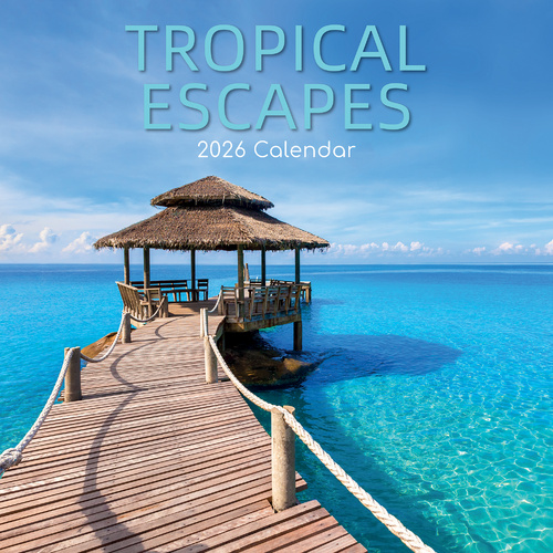 2026 Calendar Tropical Escapes Square Wall, The Gifted Stationery GSC26282