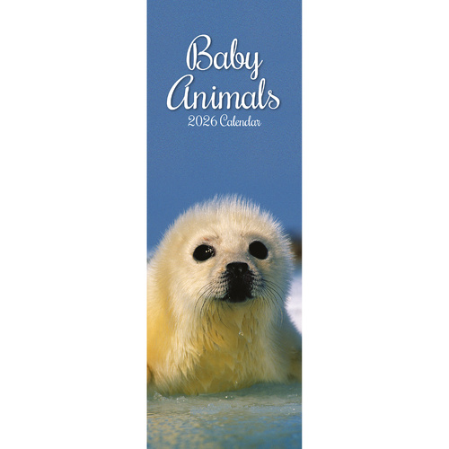 2026 Calendar Baby Animals Slim Wall, The Gifted Stationery GSC26422