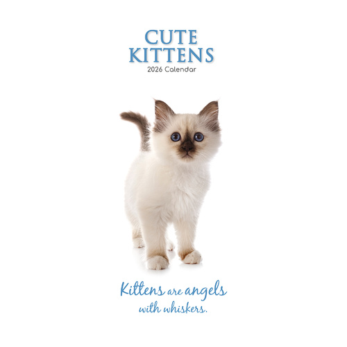 2026 Calendar Cute Kittens Slim Wall, The Gifted Stationery GSC26429