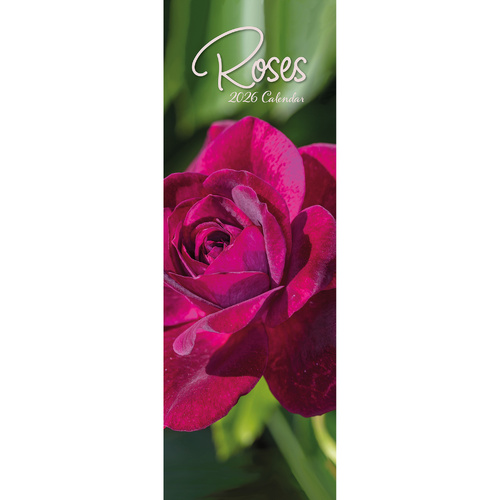 2026 Calendar Roses Slim Wall, The Gifted Stationery GSC26436