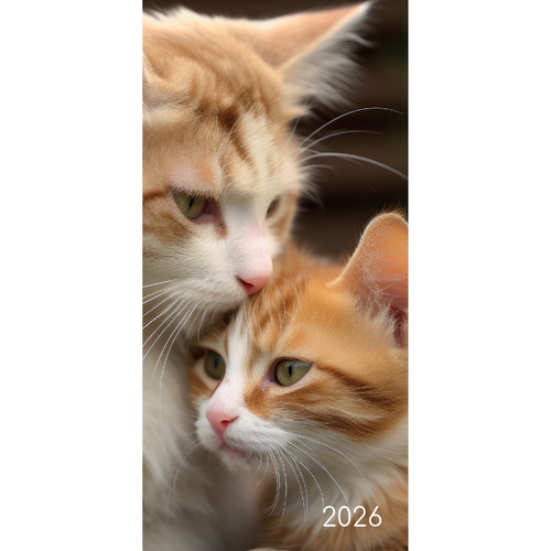 2026 Planner Cats & Kittens Pocket Week to View, The Gifted Stationery GSC26494