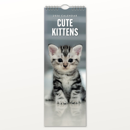 2026 Calendar Cute Kittens Slim Wall, Red Robin RR263008