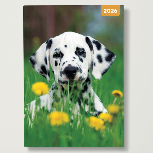 2026 Diary Adorable Dogs A5 Week to View Padded, Red Robin RR265002