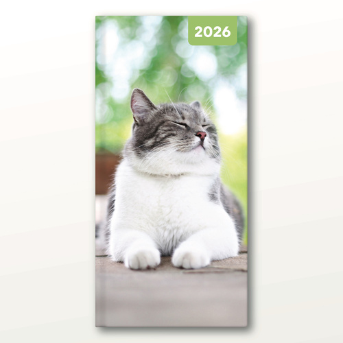 2026 Diary Adorable Cats Pocket Week to View, Red Robin RR266001