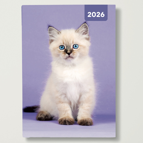 2026 Diary Cats & Kittens A6 Week to View Flexi, Red Robin RR267007