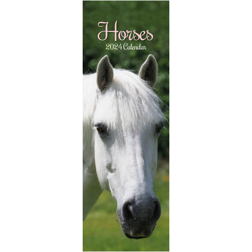 2024 Calendar Horses Slim Wall by The Gifted Stationery GSC23919