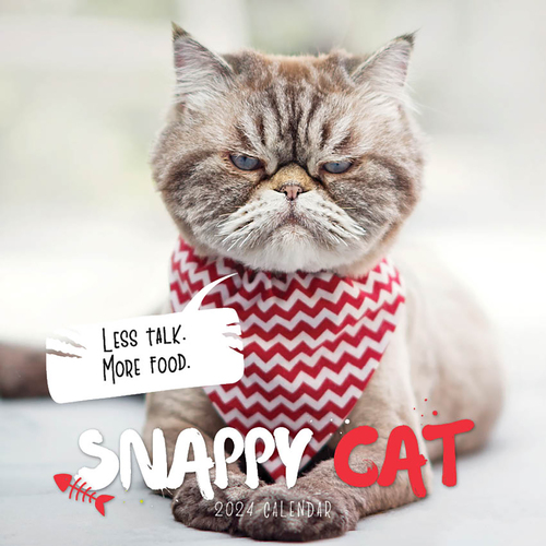 2022 Calendar Snappy Cat Square Wall by Paper Pocket 