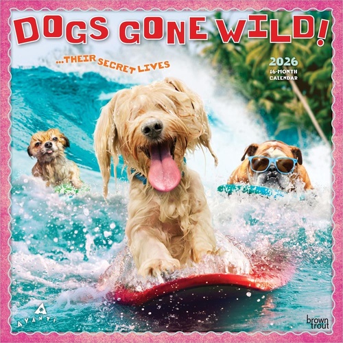 2026 Calendar Avanti Dogs Gone Wild 16-Month Square Wall, BrownTrout BT01445