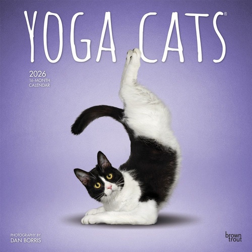 2026 Calendar Yoga Cats 16-Month Square Wall, BrownTrout BT01919