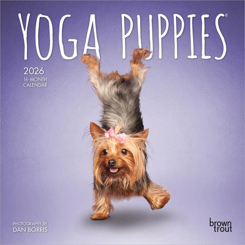 2026 Calendar Yoga Puppies 16-Month Mini Wall, BrownTrout BT01988